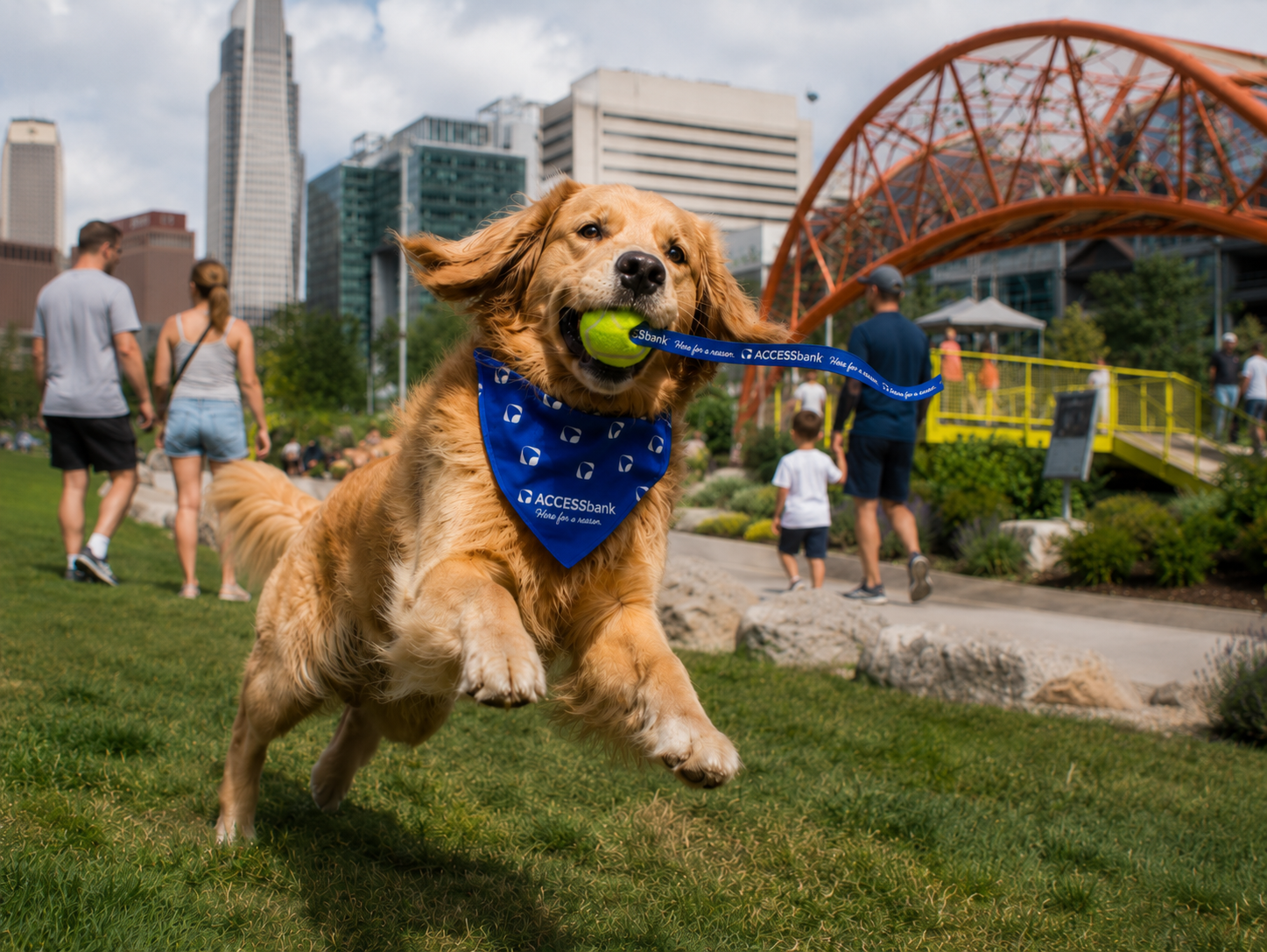 Golden retriever wearing an ACCESSbank branded bandana at a downtown park